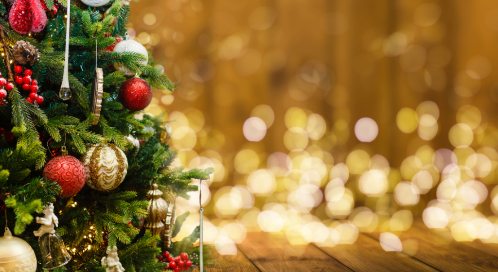 Cosa fare a Natale a Senigallia